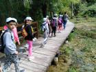 IMG-425e2111d777b2351448374247bf3b16-V